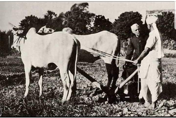 Nehru_farmer